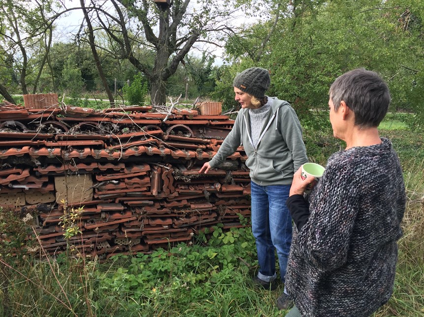 Bild 1 „Die chinesische Mauer“